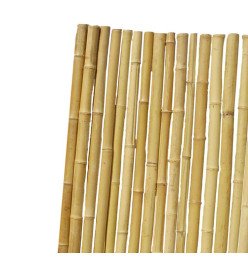 Canisse bambous ronds 30/40