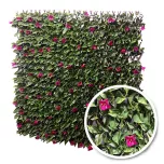 Treillis Extensible Bougainvilliers brise-vue
