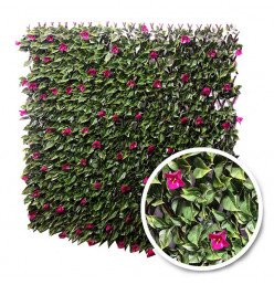 Treillis Extensible Bougainvilliers brise-vue